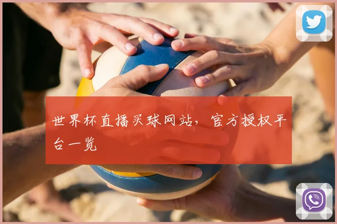 世界杯直播买球网站,官方授权平台一览