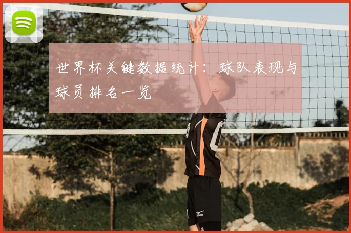 世界杯关键数据统计：球队表现与球员排名一览