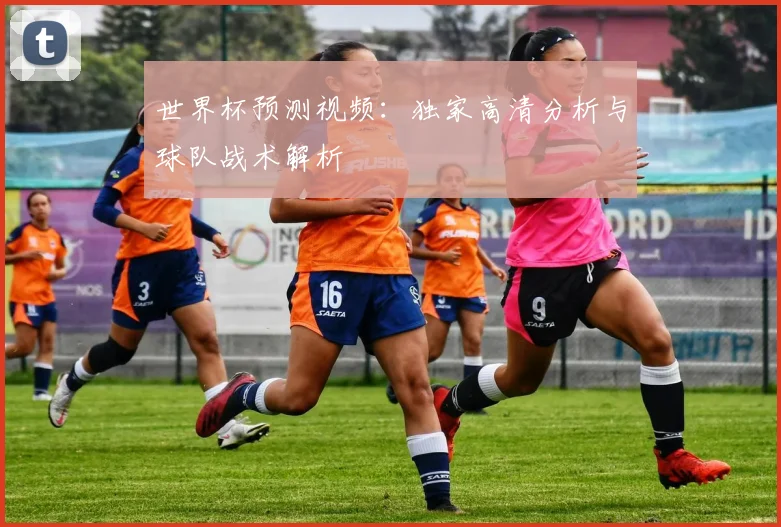 世界杯预测视频:独家高清分析与球队战术解析