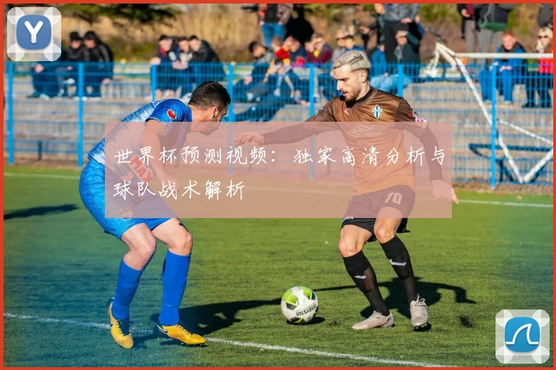 世界杯预测视频：独家高清分析与球队战术解析
