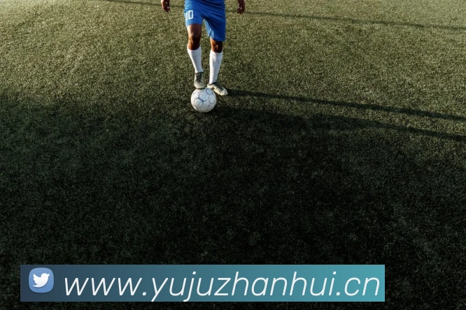 kaiyun开云体育官方网站平台生态图